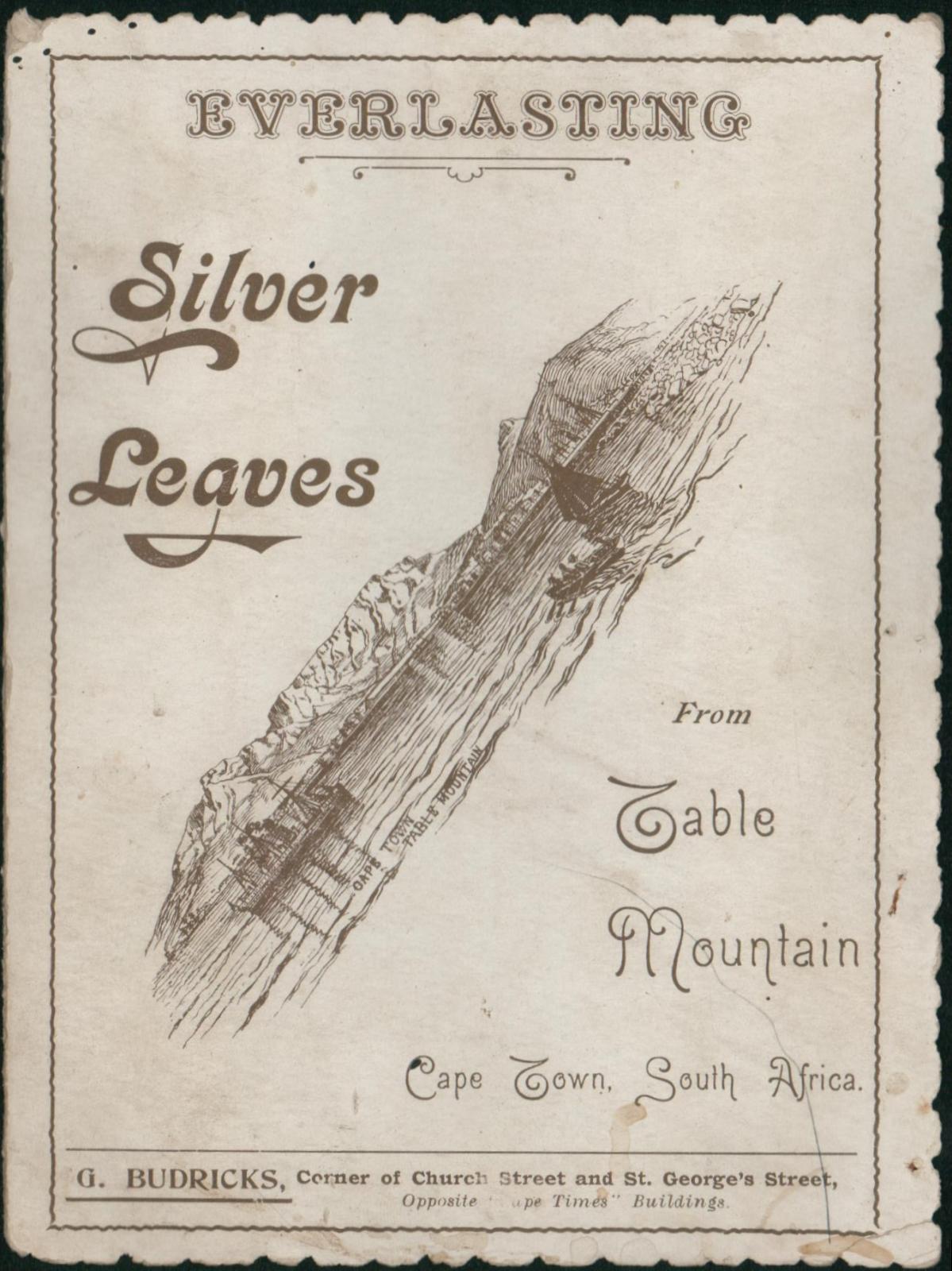 Front of Everlasting Silver Leaves postcard