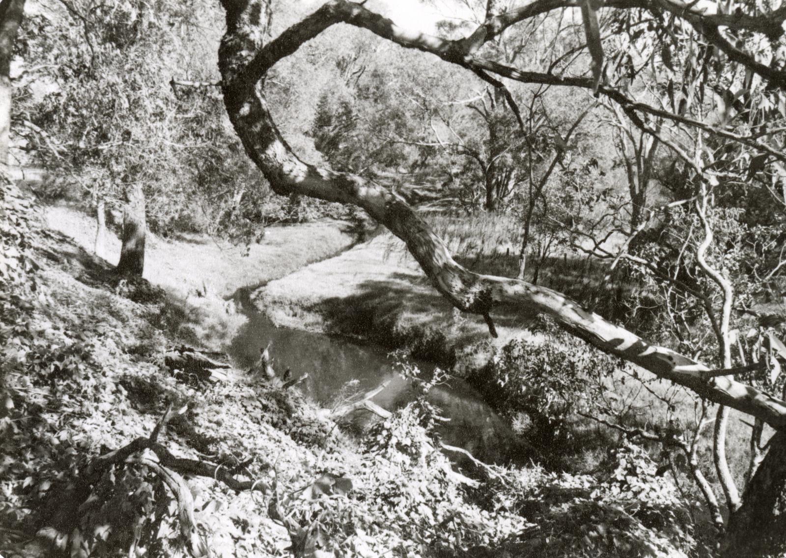 P1997.632A_1 Maddington Park Homestead view of the Canning River, 1982