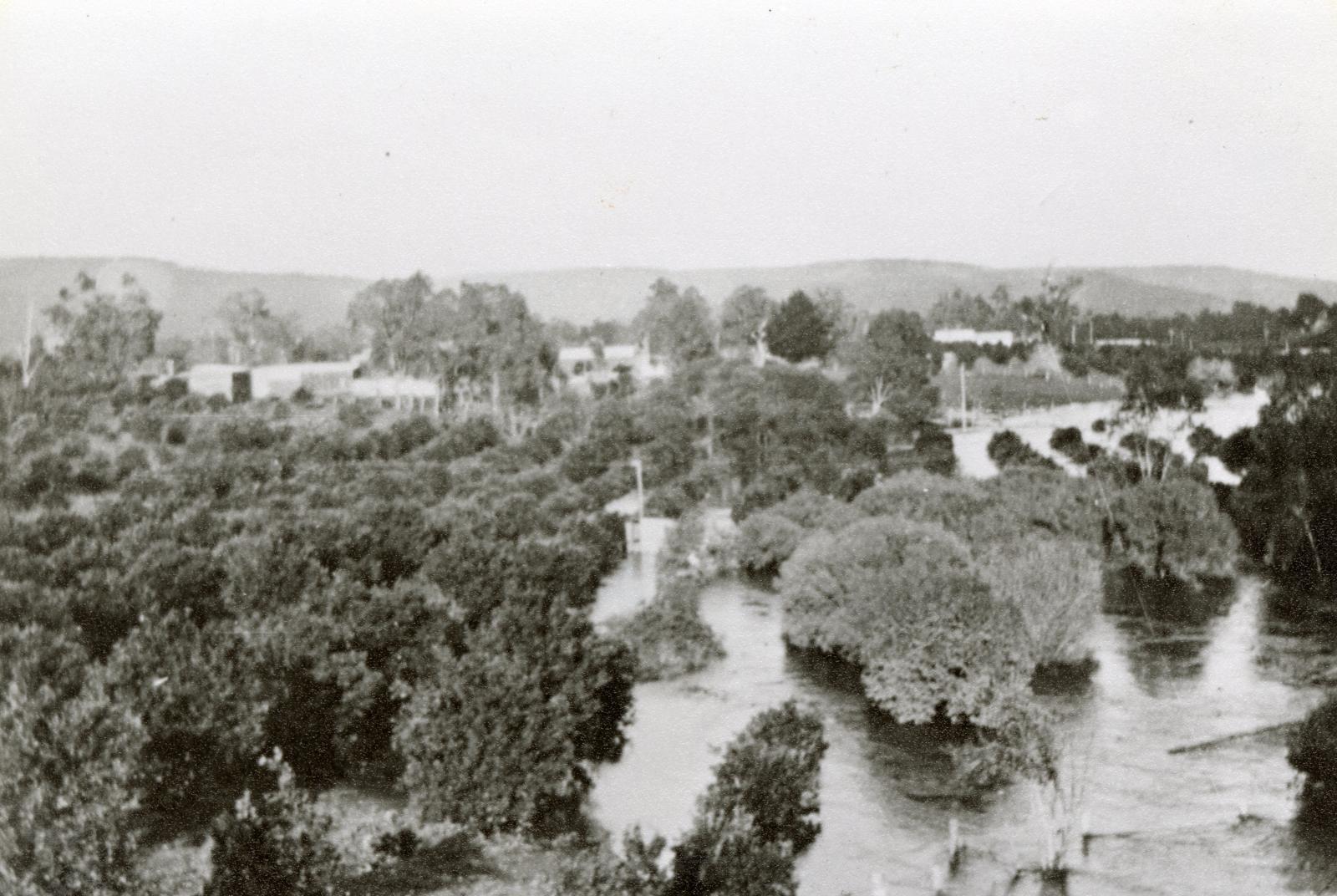 P1999.1102 Canning River in Flood,1926