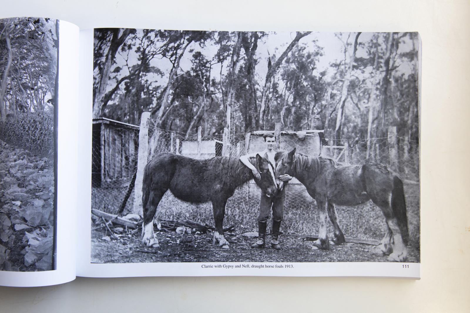 A page of a book showing a photograph of two horses and a man standing between them