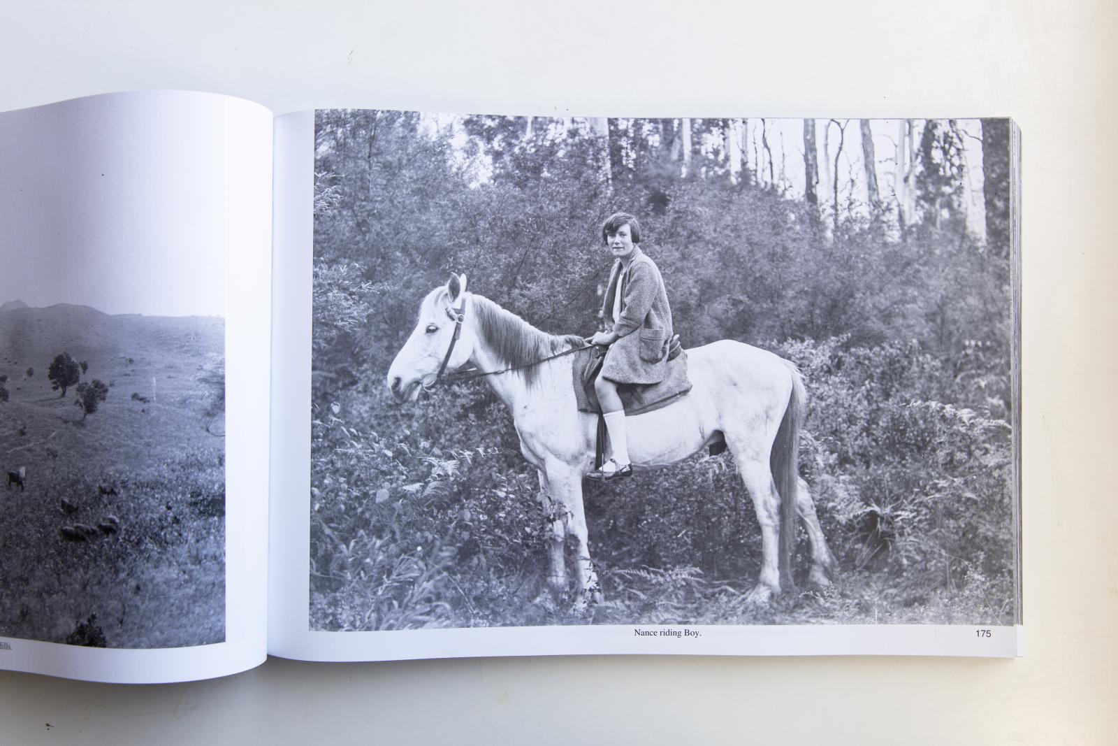 photograph of a person on a white horse