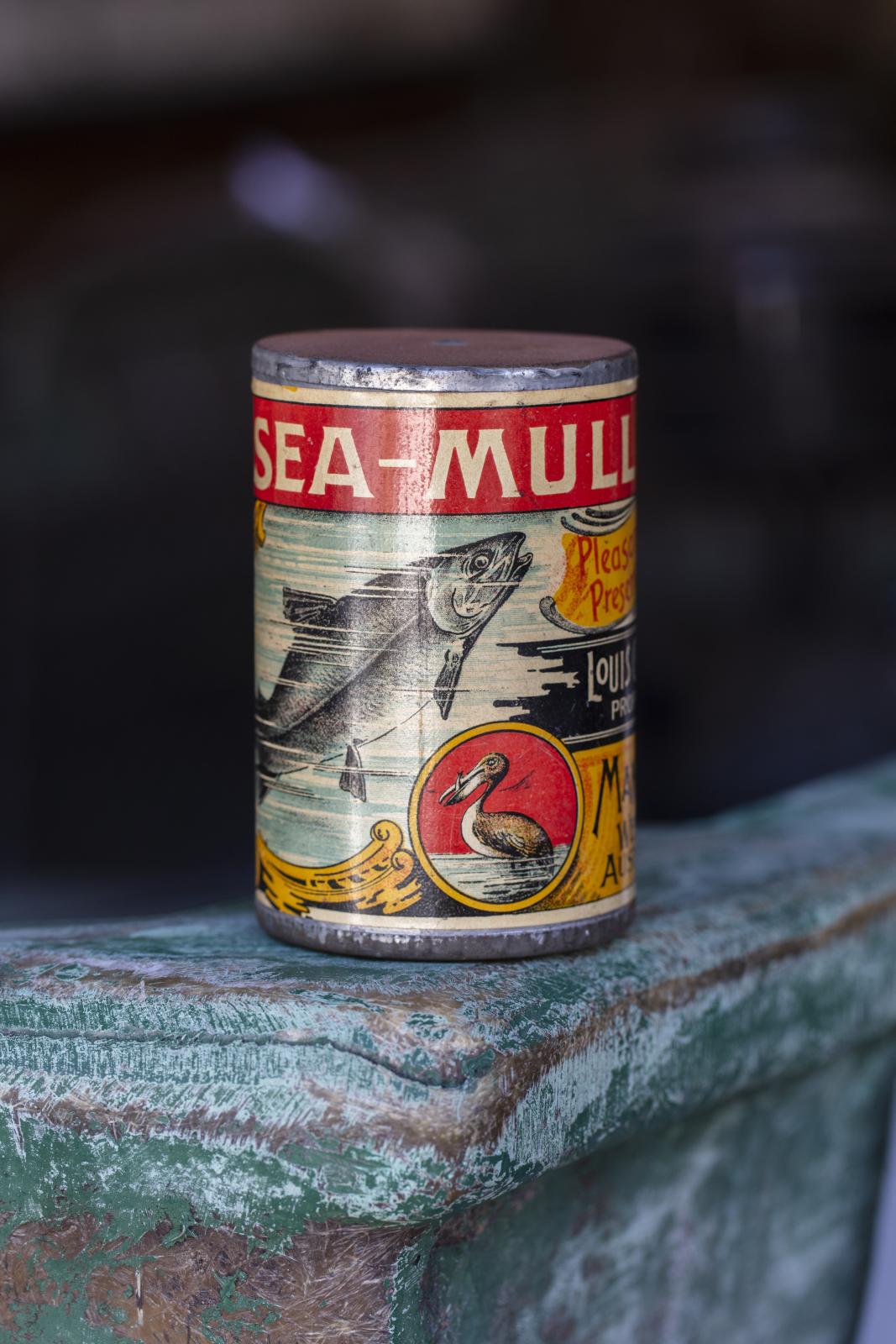 Canned fish