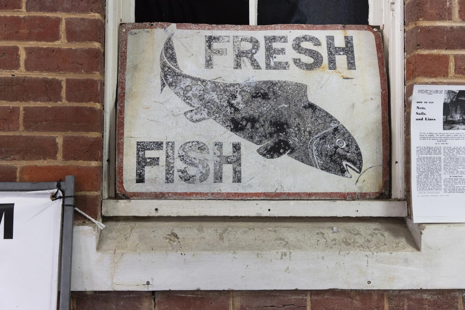 Sign on window sill. Sign has the words 'fresh fish' on it, surrounding the silhouette of a fish