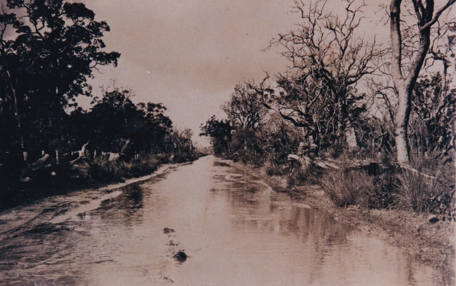 Seeing the state of winter roads near Yoongarillup in the 1920s you can see why the Torrent family bought a tractor. Photo 0372 BHS Archive