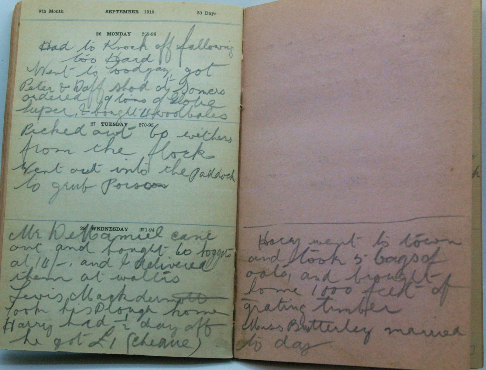 handwritten diary entries