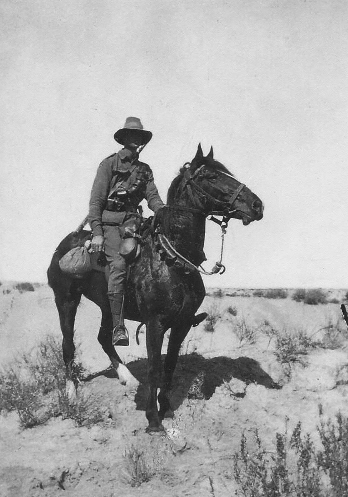 Mounted troop with saddle wallets