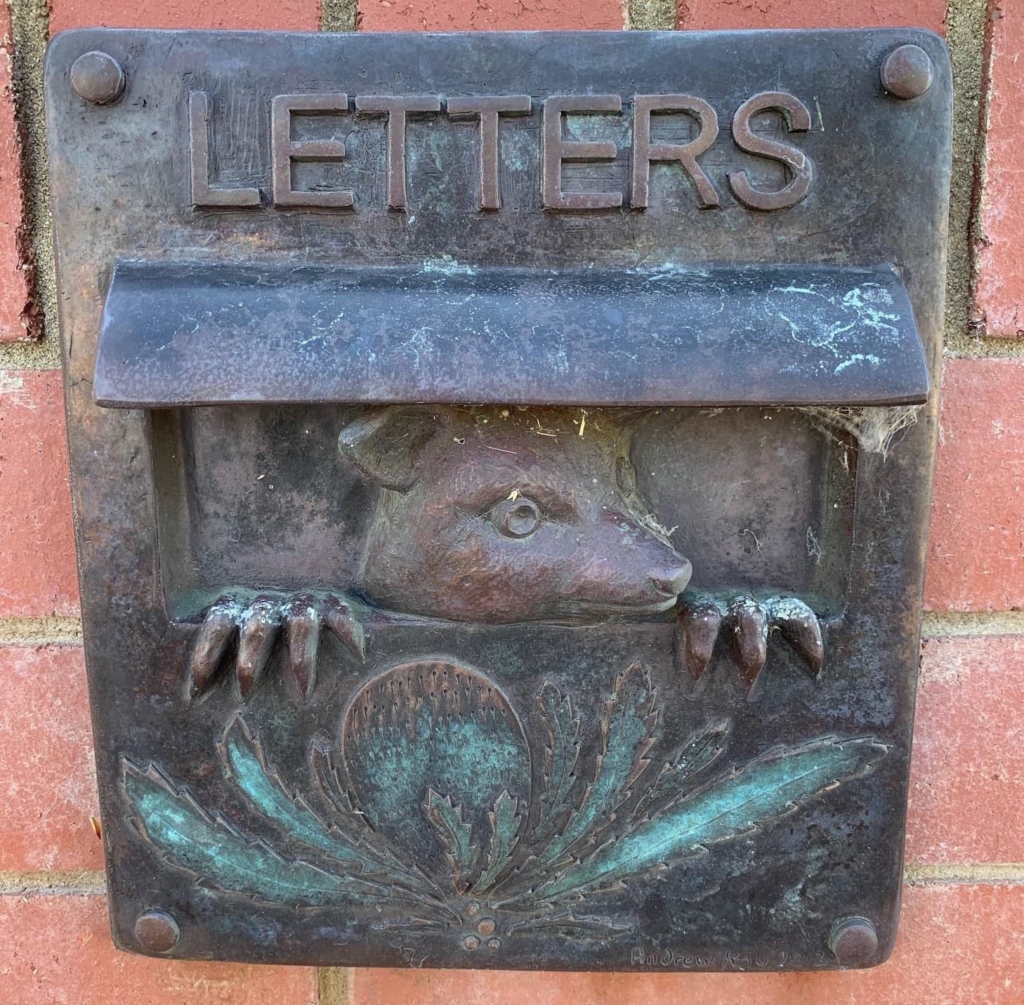 Possum peeking out of letterbox