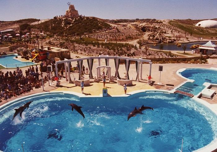 PD000941 - Dolphin pool at Atlantis Marine Park