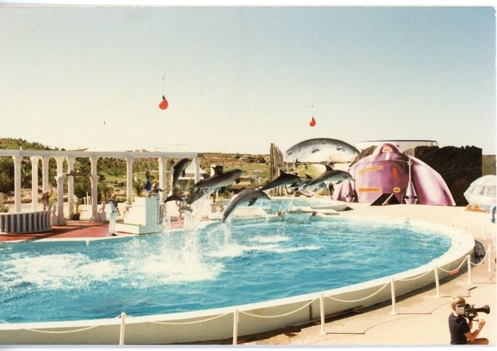 PD04062 - Dolphin show at Atlantis Marine Park 