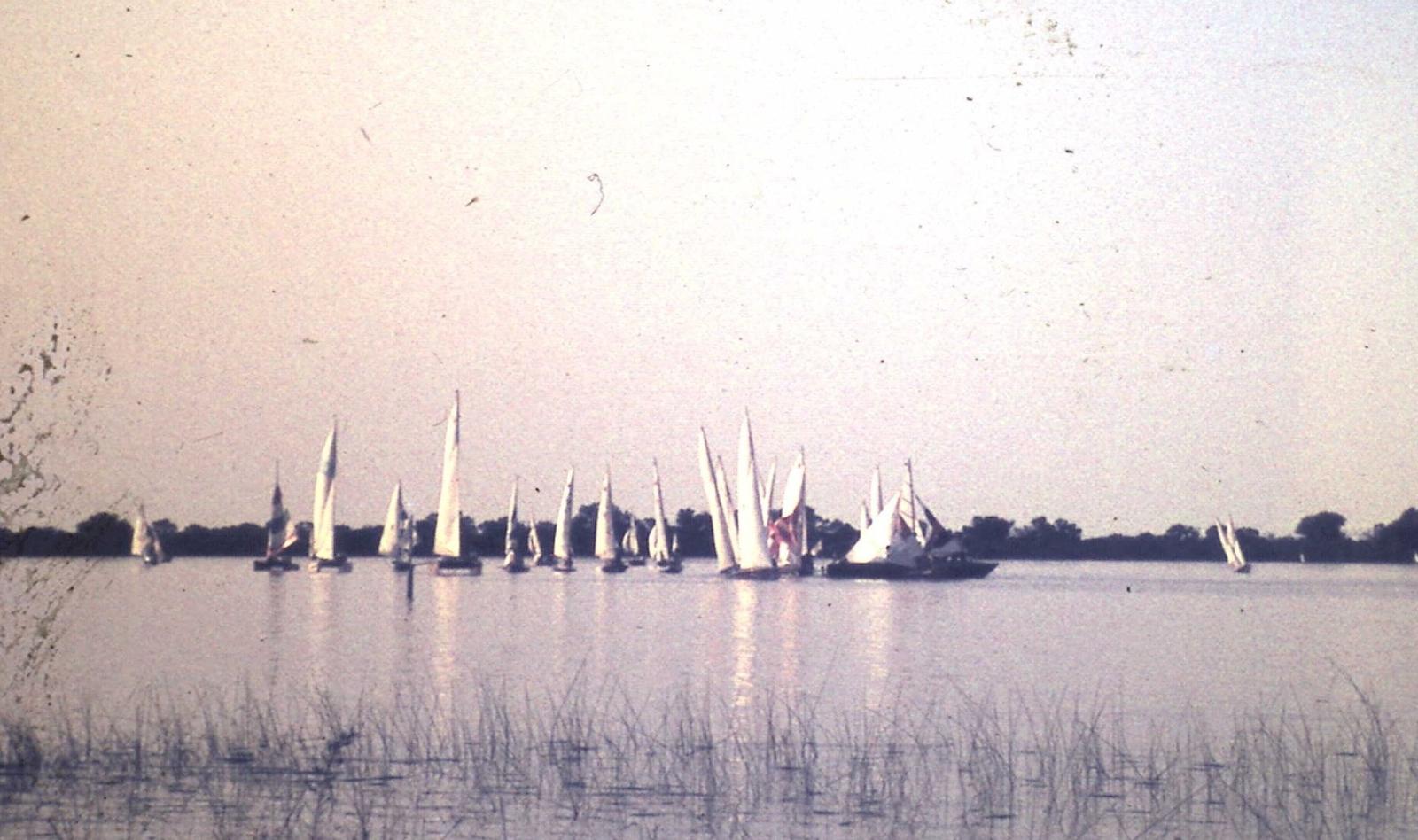 Black and white photograph taken from the shore of Jandakot Lake of a small fleet of sail boats 