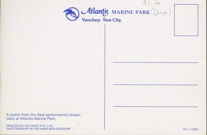 Archive 17.6b - Postcard, Atlantis Marine Park Seal show