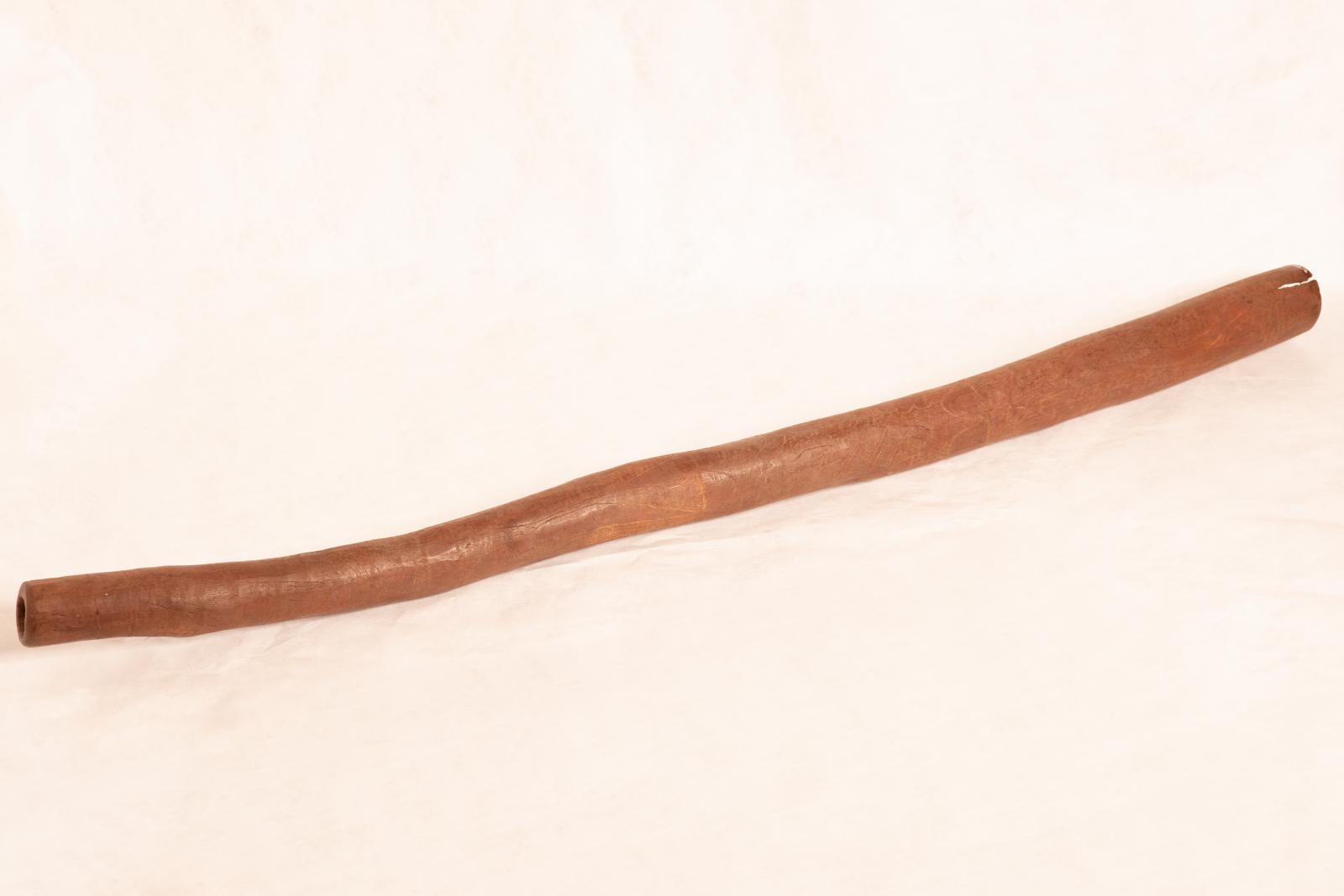 Indigenous Australian didgeridoo, long, hollow, dark coloured wood with numerous designs of crocodiles, snakes, ants and bees incised on exterior surface and dark red ochre stained.