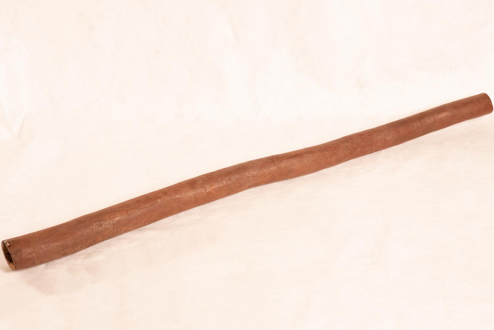 Indigenous Australian didgeridoo, long hollow dark coloured wood with numerous designs of crocodiles, snakes, ants and bees incised on exterior surface and dark red ochre stained. 