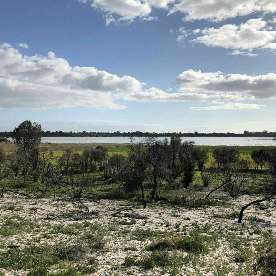 Forrestdale Lake/ Lake Jandakot