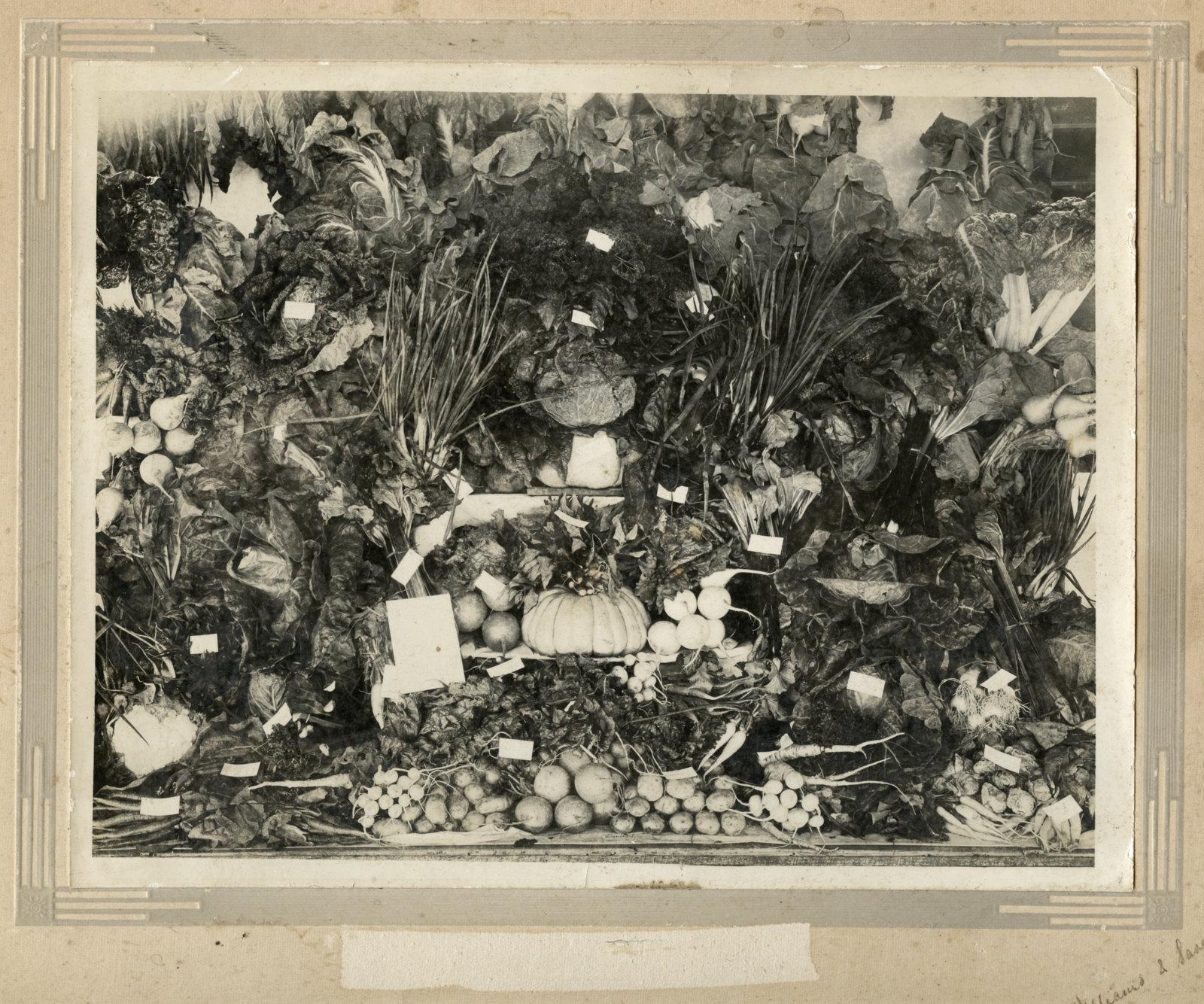 Display of vegetables circa 1945