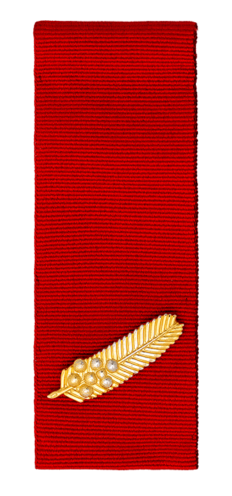 Commendation for Brave Conduct