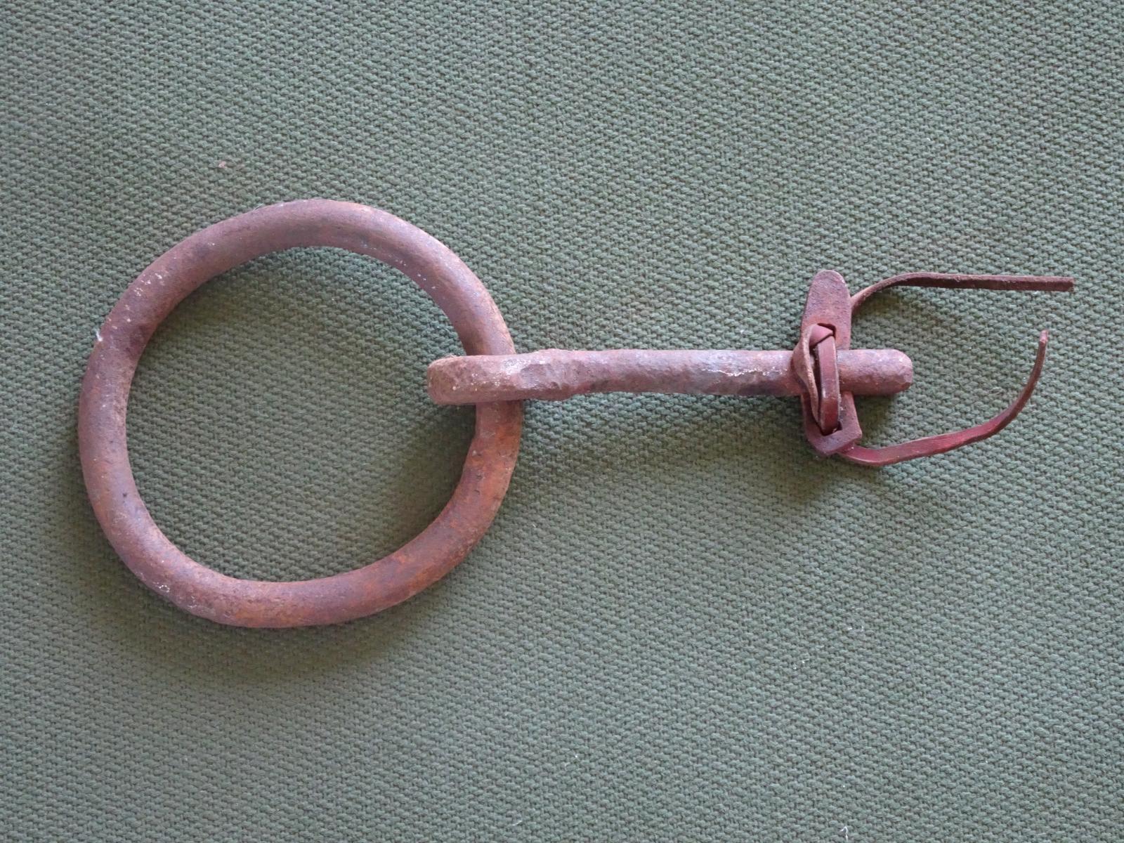 Pulling ring for bullock harness