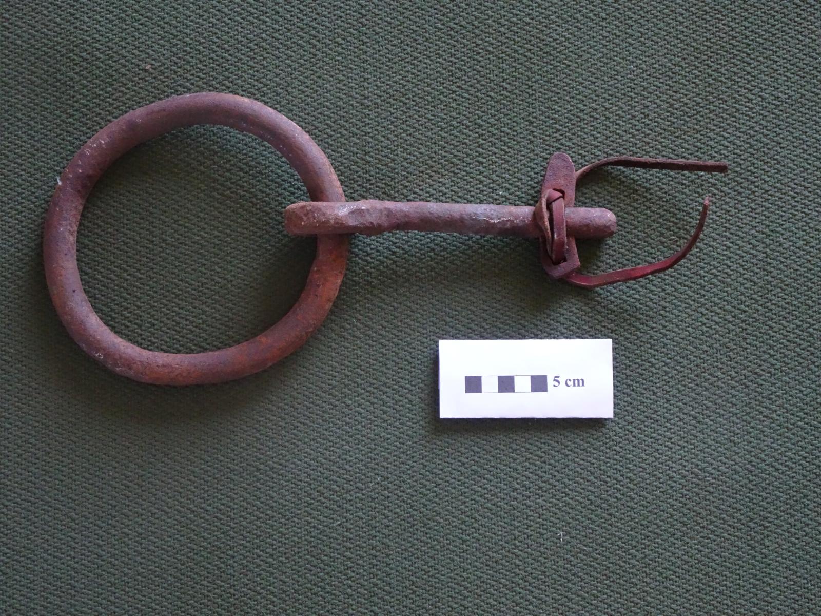 Pulling ring for bullock harness