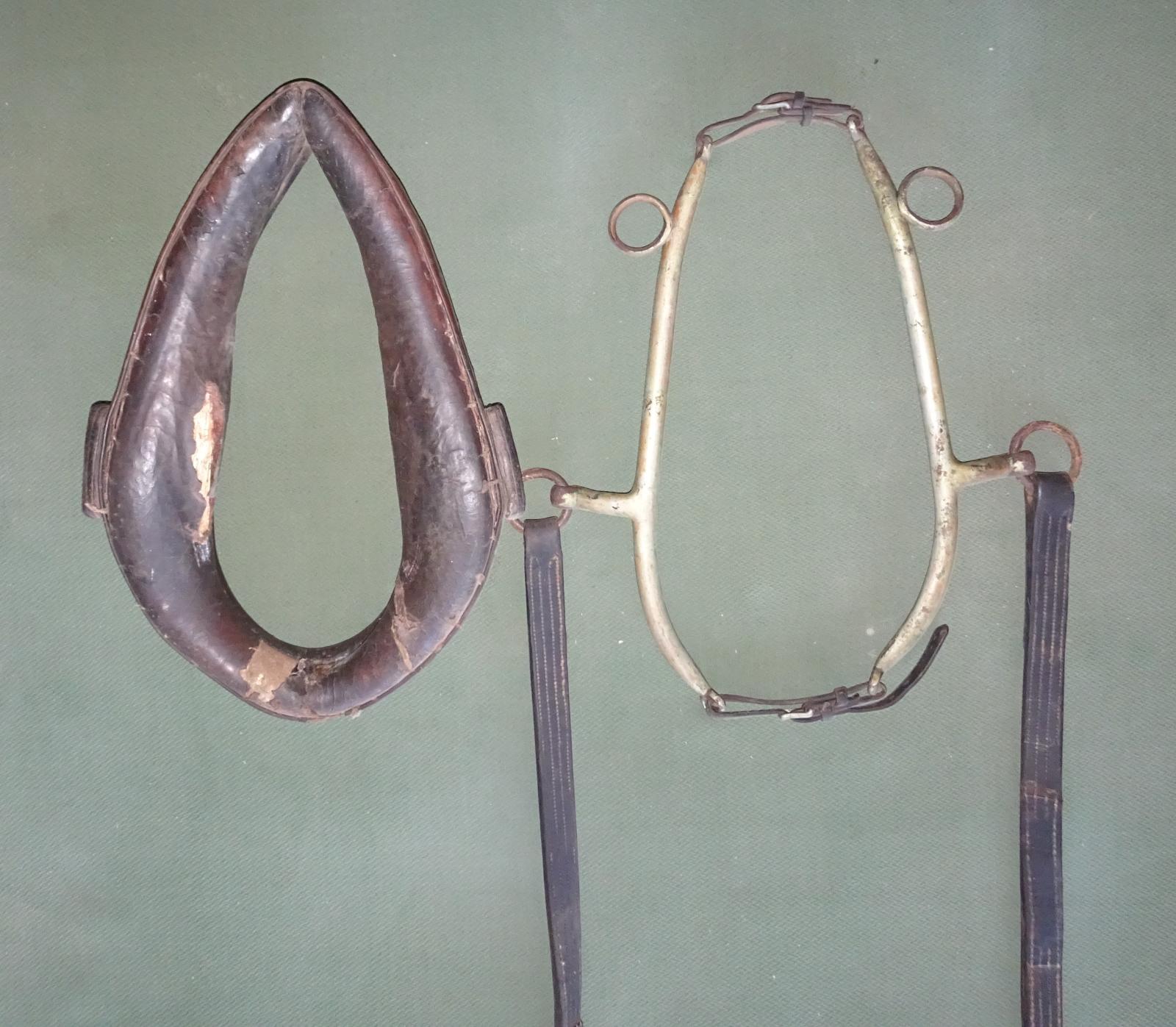 Collar, hames and reins side by side