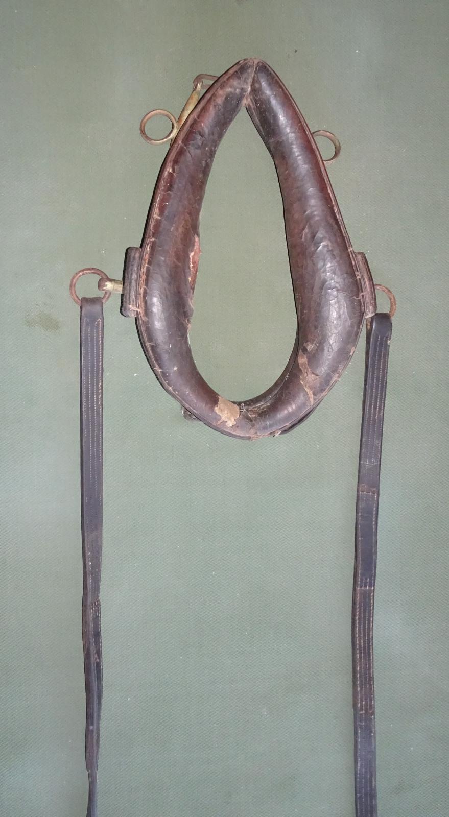 Close up view of collar on hames and reins