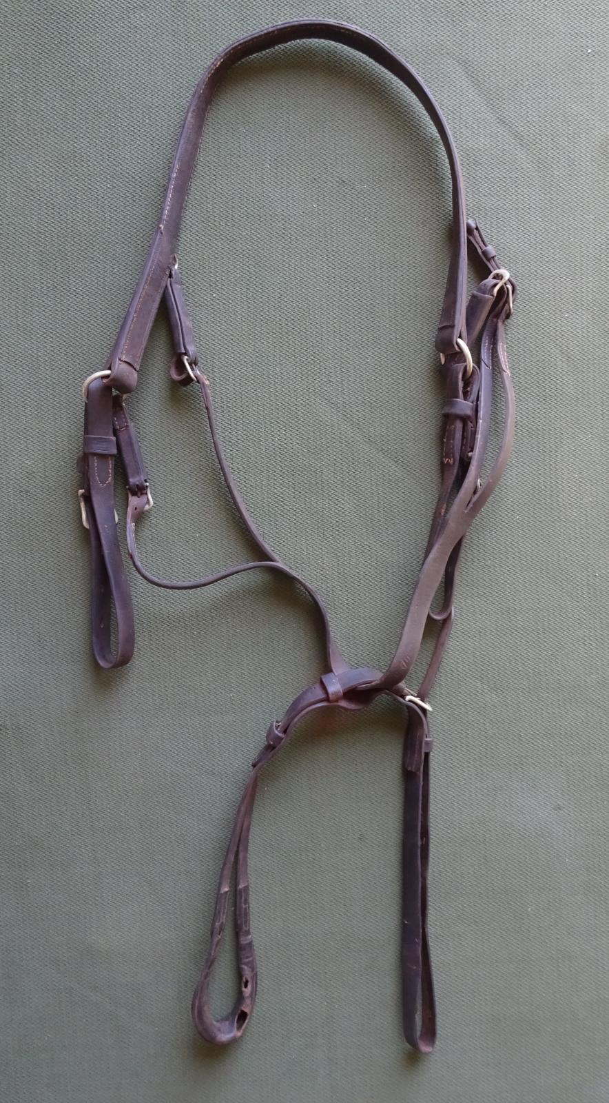 Trotting harness