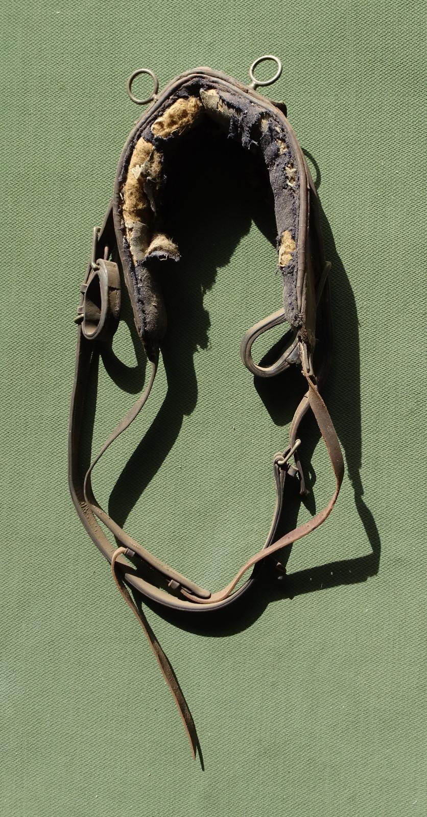 Bullock harness