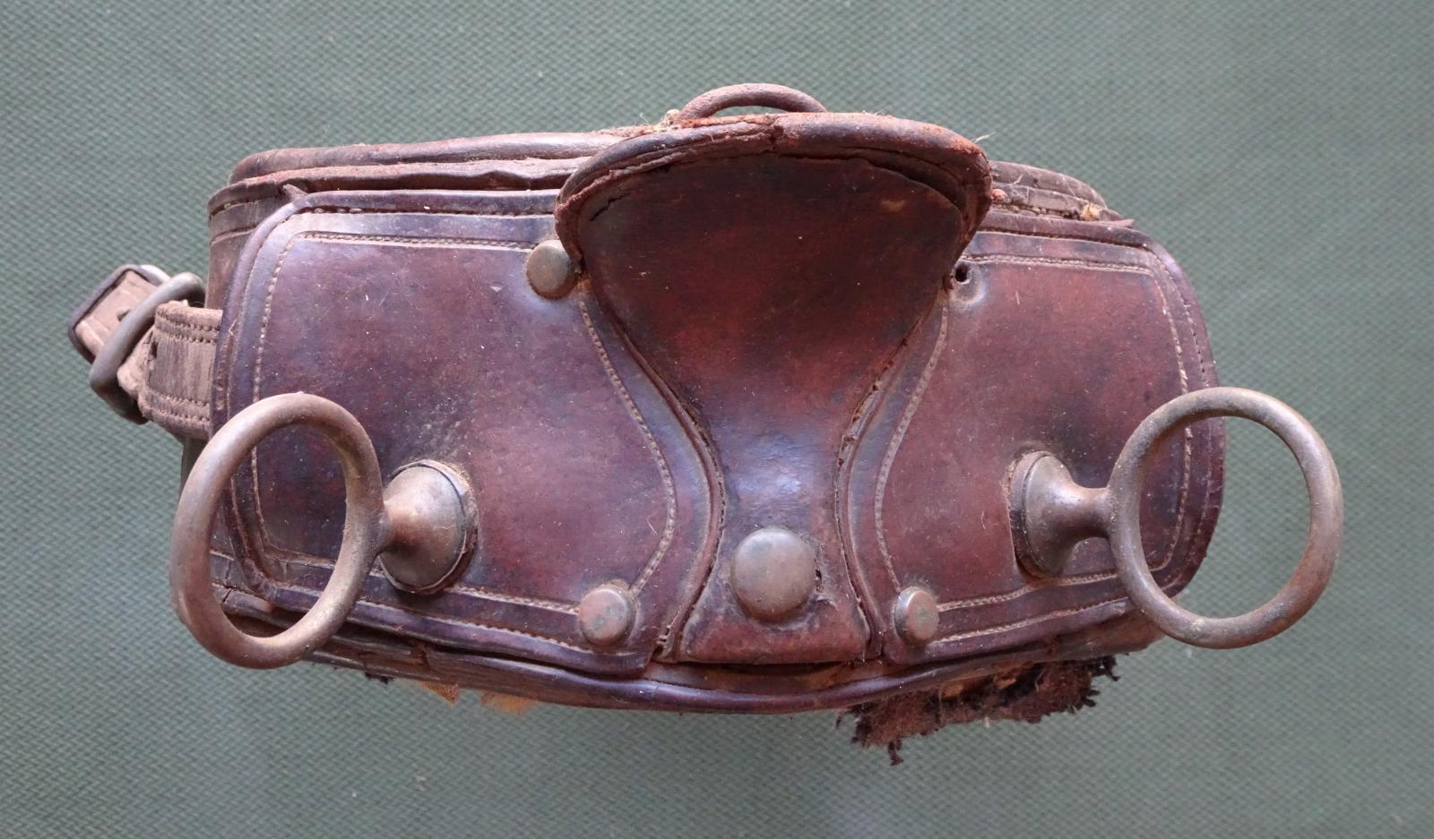 Top of bullock harness