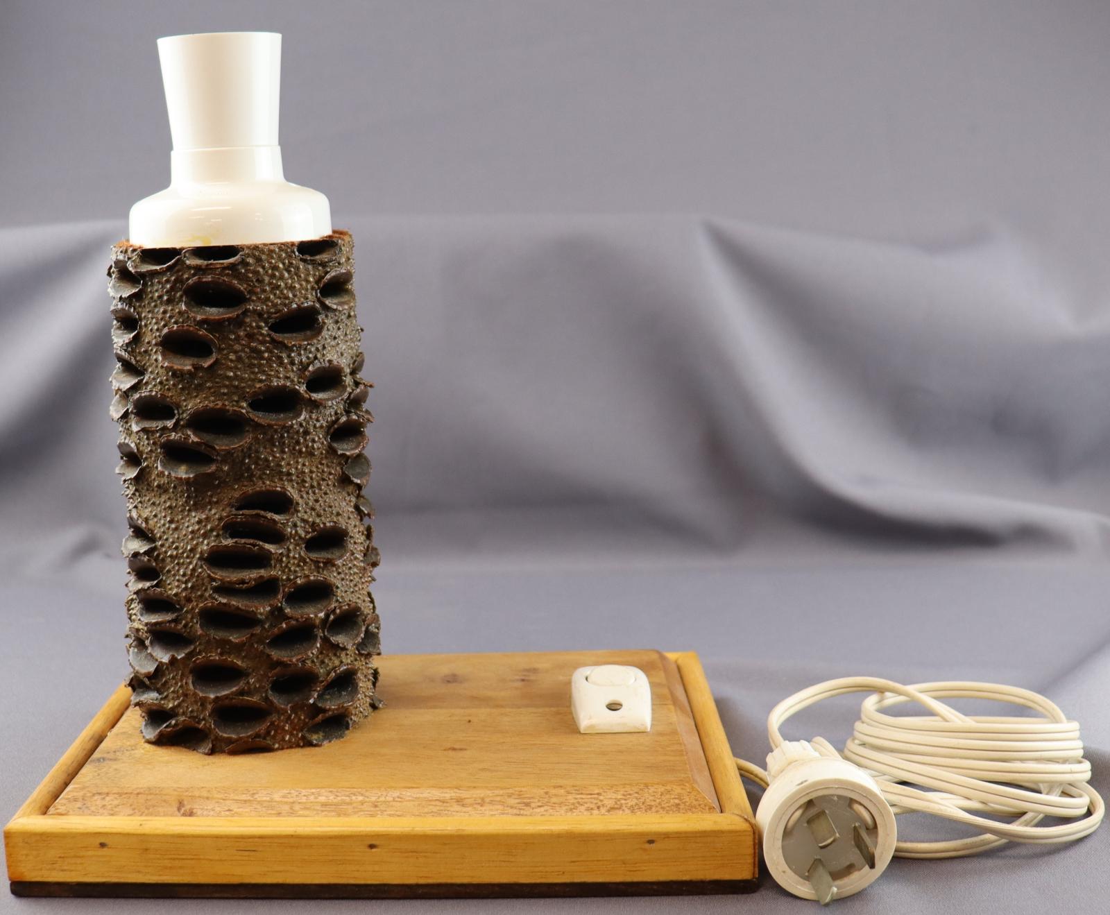 Flat wood rectangle shaped base. On left side is a banksia nut, on top of the nut is a white plastic lightbulb fixture. On the right side of the base is a single white plastic switch, coming out of the right side is a white electrical cord with a three prong plug at the end