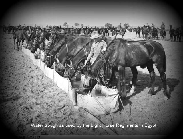 watering