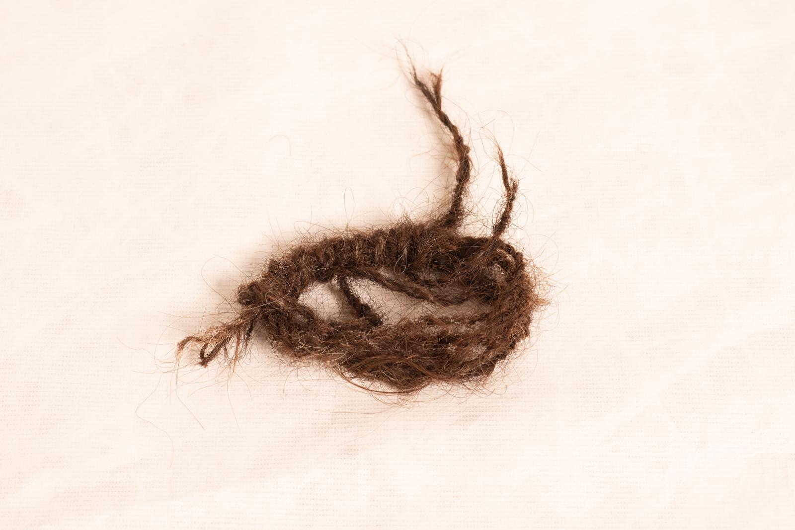 Brown human hair woven belt. Very thin and has been wound in on itself to make a small circle. There are a few small strand escaping the circle.