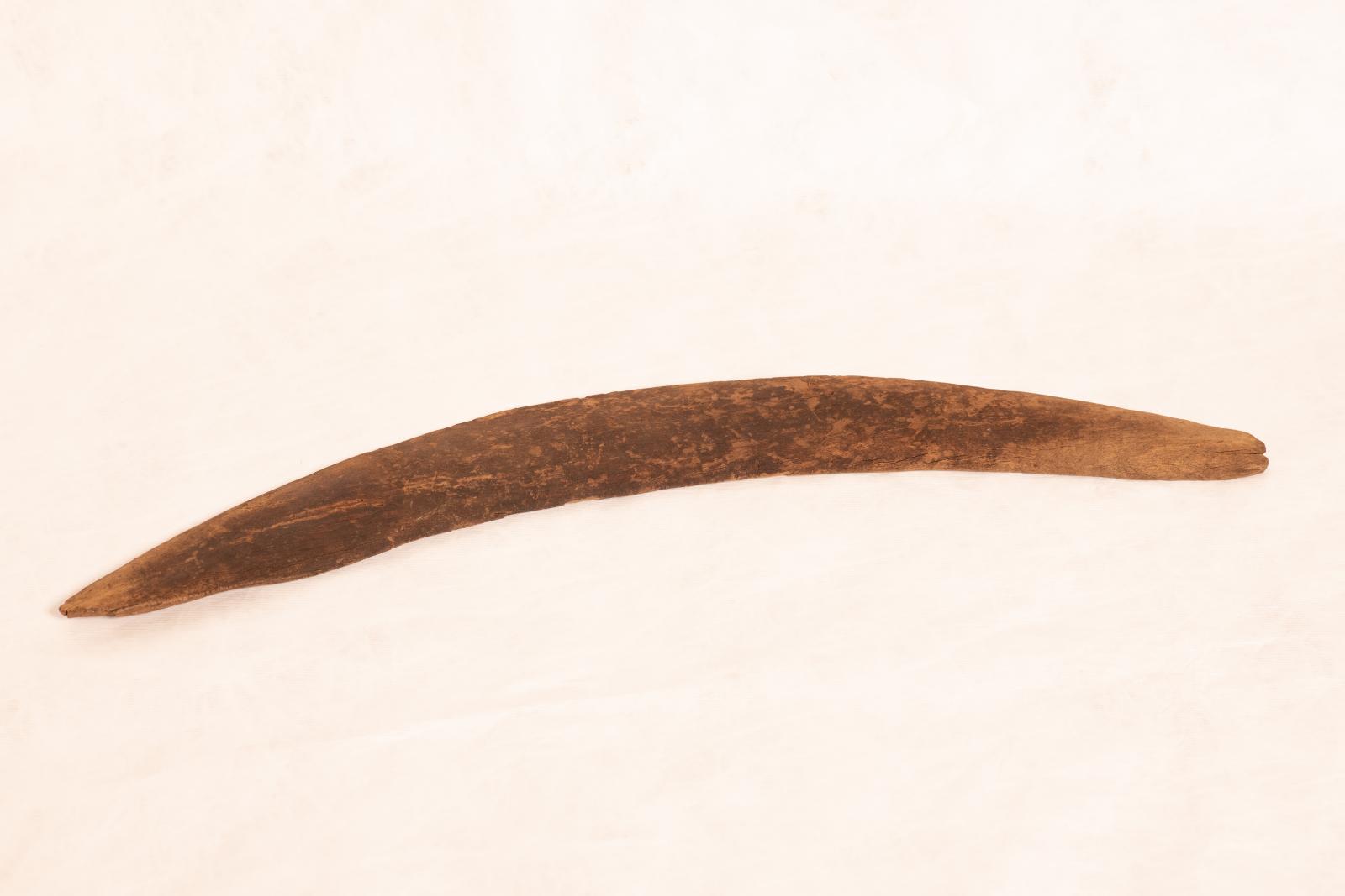 Average sized boomerang, estimated to be 70-100 years old. Slightly curved and thin at one end and thicker at the other. The wood is cracked in multiple areas and on one side the wood has darker patches in areas.