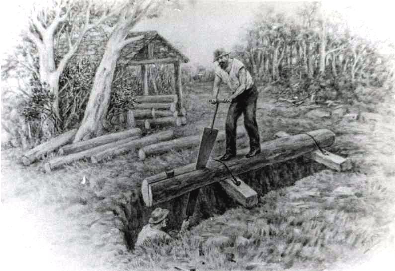 Woodcut print showing two men using a pit saw above a pit. Latrobe Photographic Collection, National Trust Tasmania