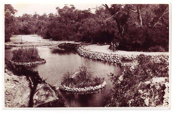 PD00268 - Ornamental Lakes Yanchep National Park 