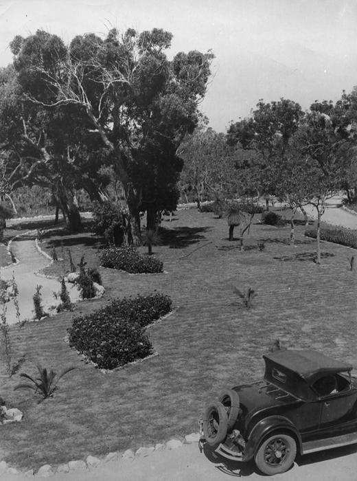 PD00380 - View from Gloucester Lodge, Yanchep National Park