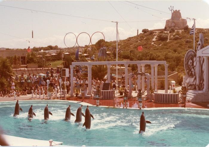 PD03851 - Dolphin Show