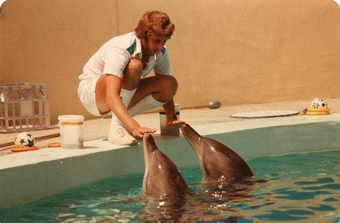 PD03921 - Dolphins in Residence, Atlantis Marine Park