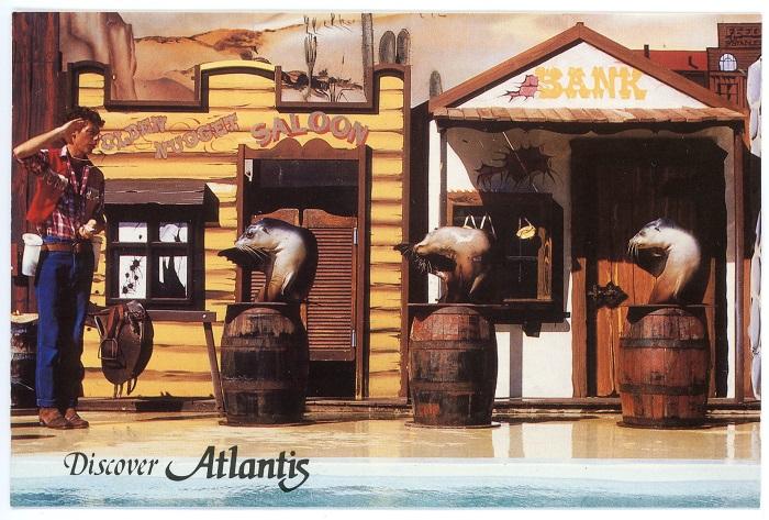 PD03945 - Discover Atlantis Postcard, Atlantis Marine Park