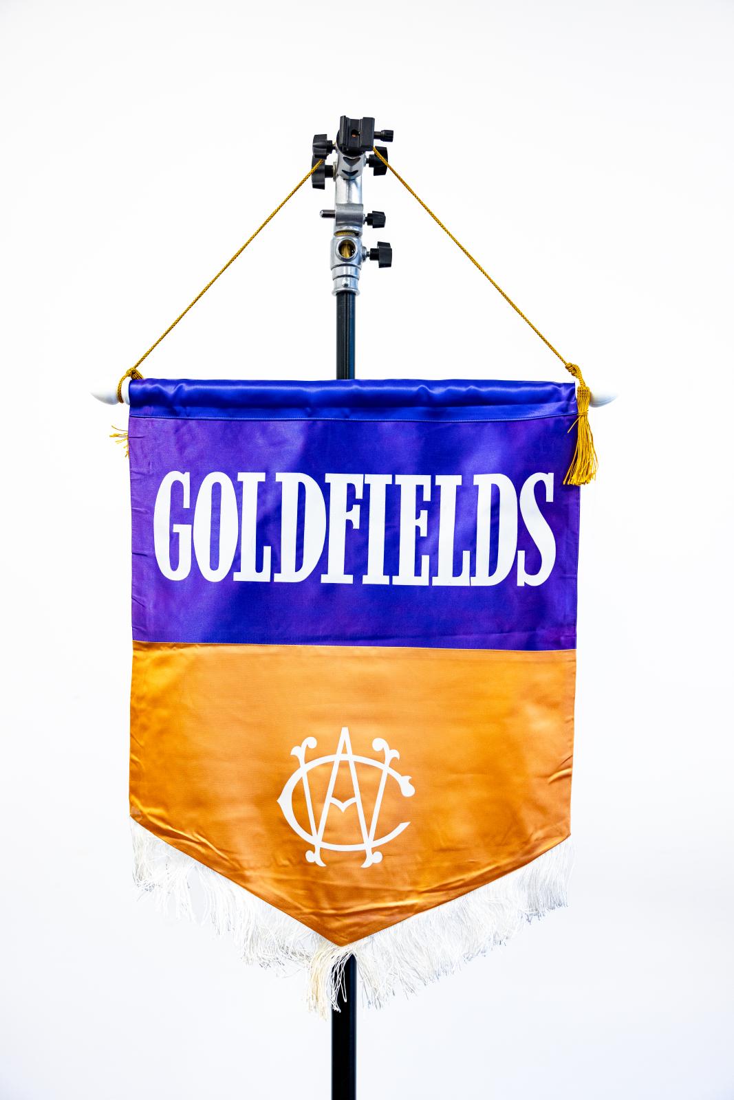 Goldfields Division Banner