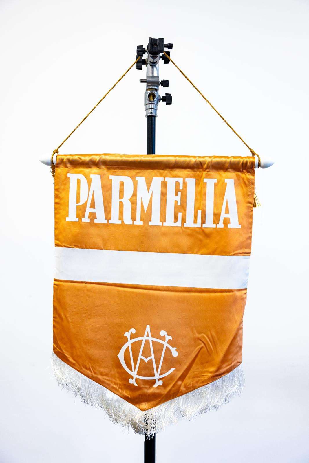 Parmelia Division Banner