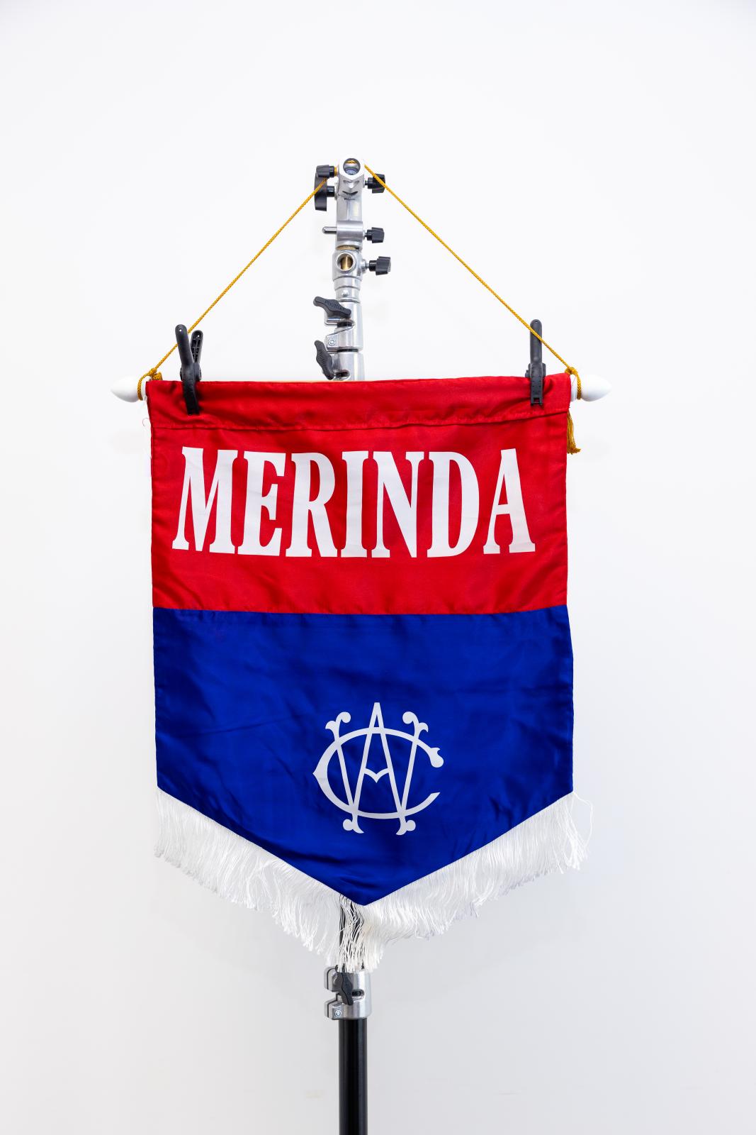 Merinda Division Banner