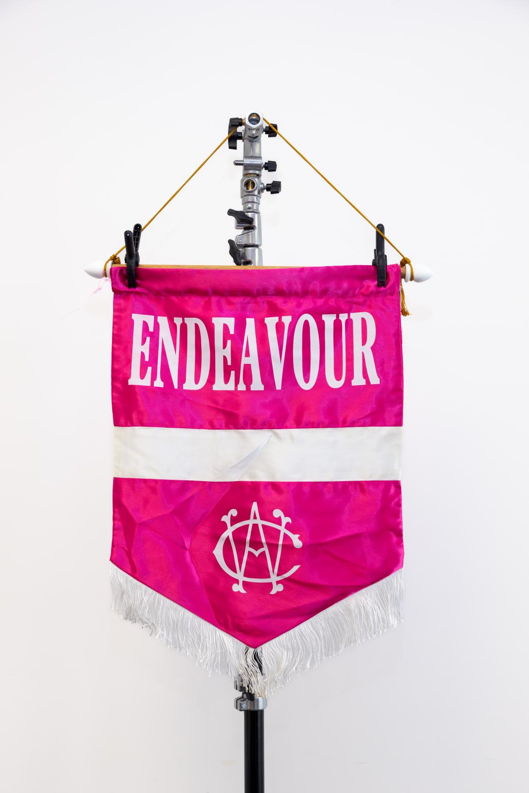 Endeavour Division Banner