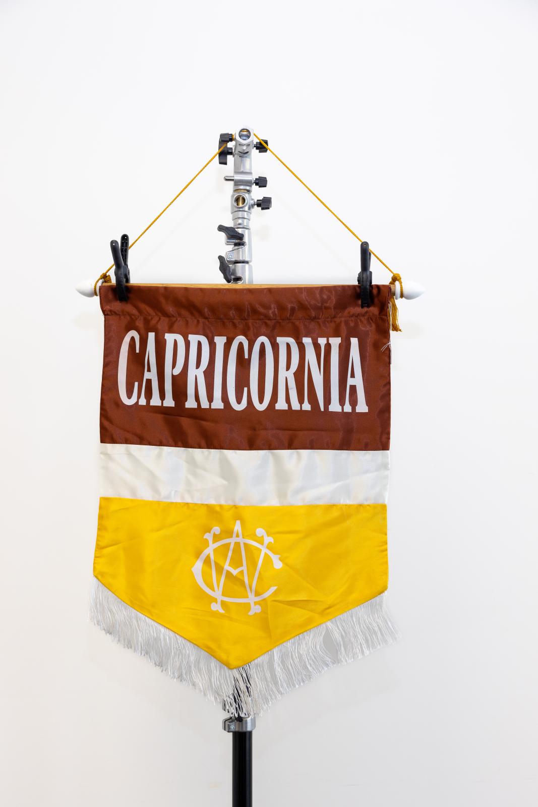 Capricornia Division Banner