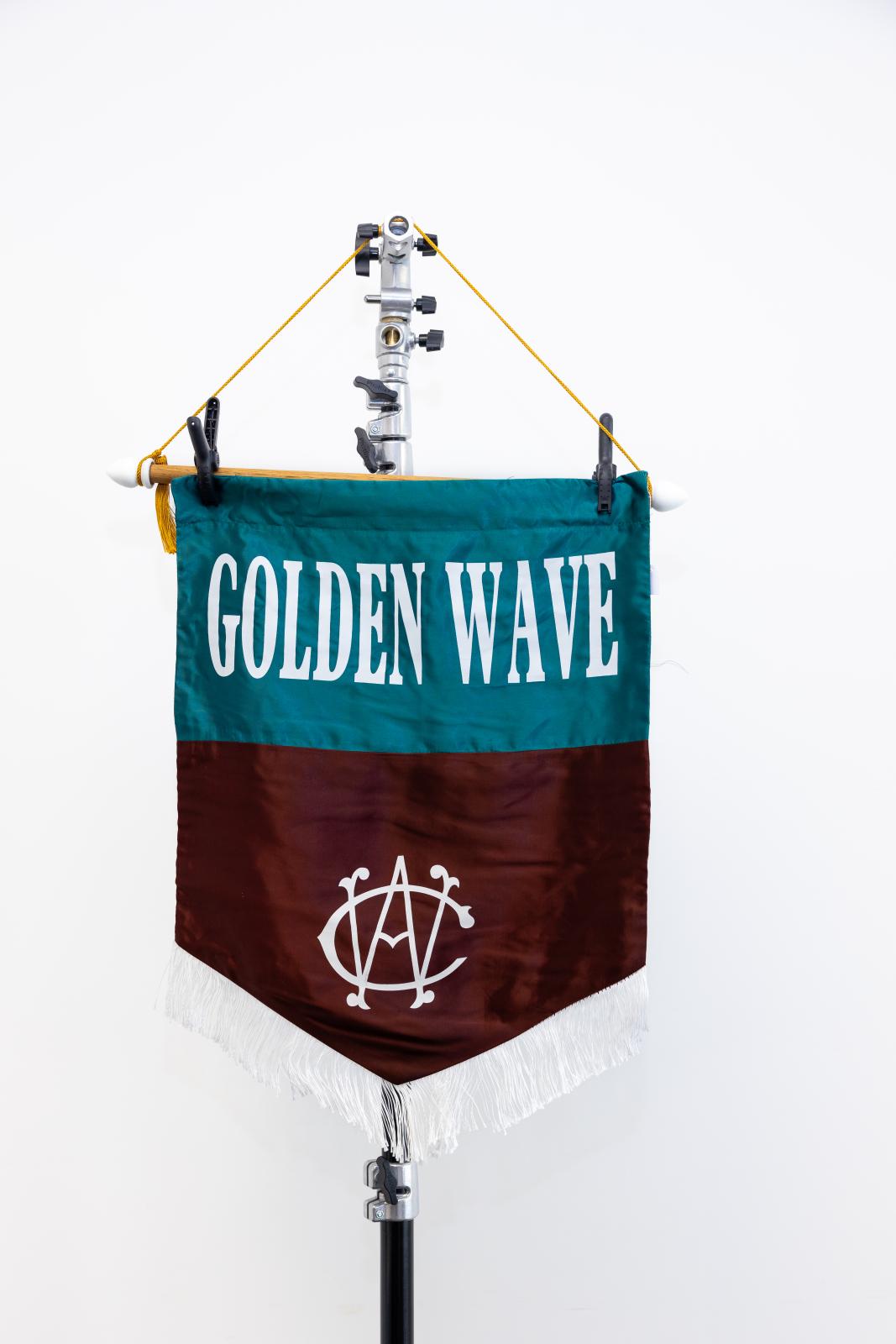 Golden Wave Division Banner