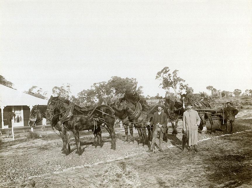 Construction of Napier Street, Claremont