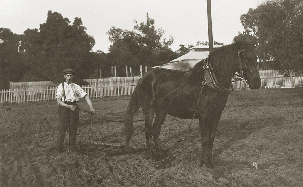 George Lucas c1915