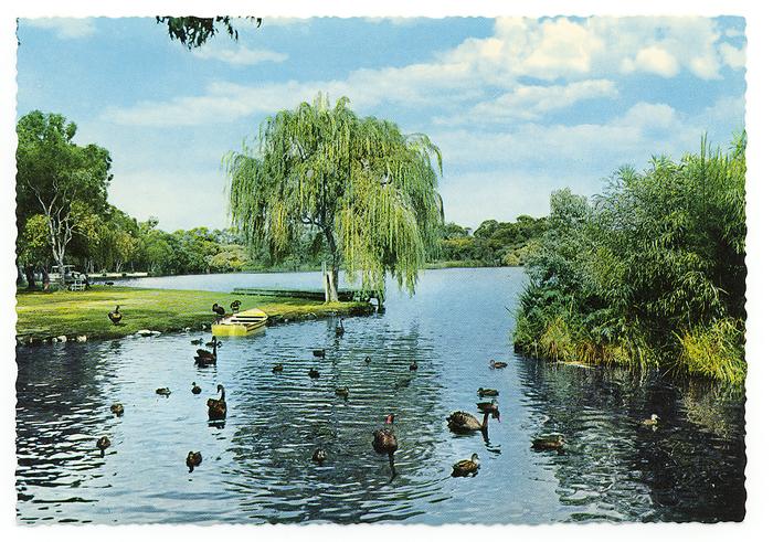 PD00276 Postcard of Loch McNess, Yanchep National Park