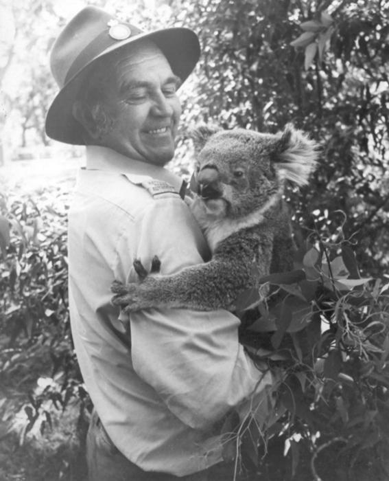 PD00303 - Ranger Kenneth Gibbs holding a resident of Yanchep National Park