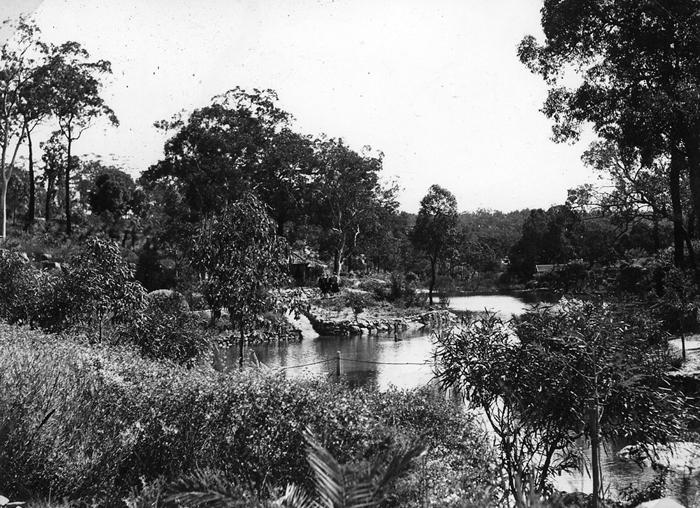 PD00387 - Loch McNess, Yanchep National Park