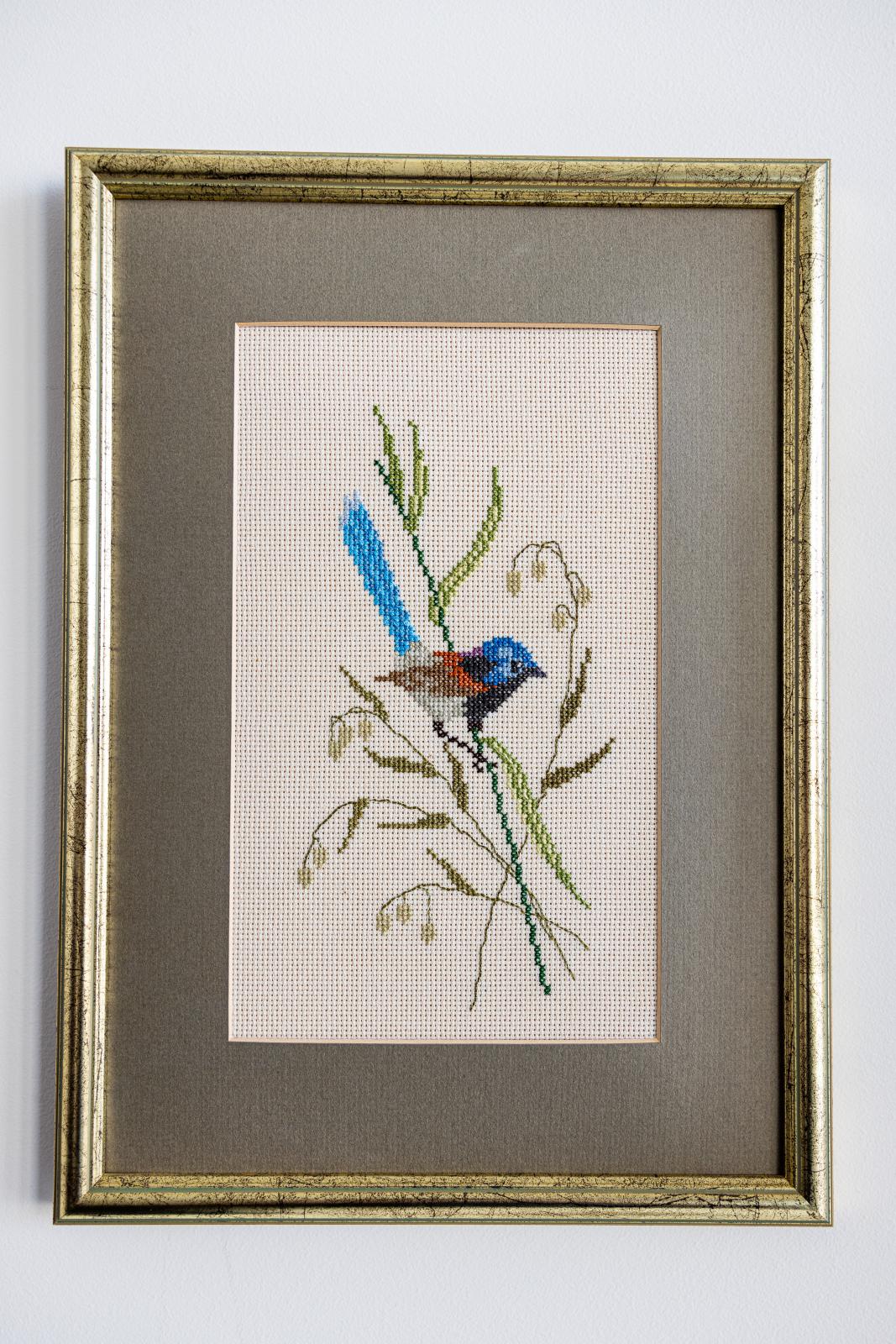 Blue Wren