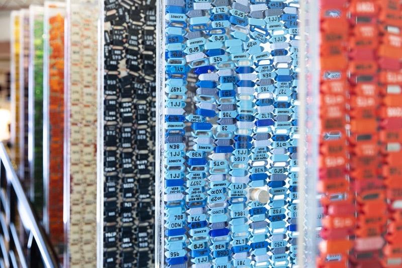 colourful sheep tags